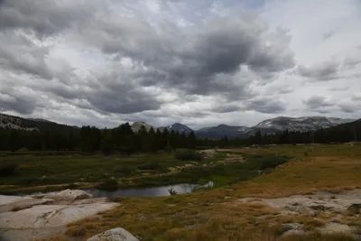 DSC_4423 (Large).JPG